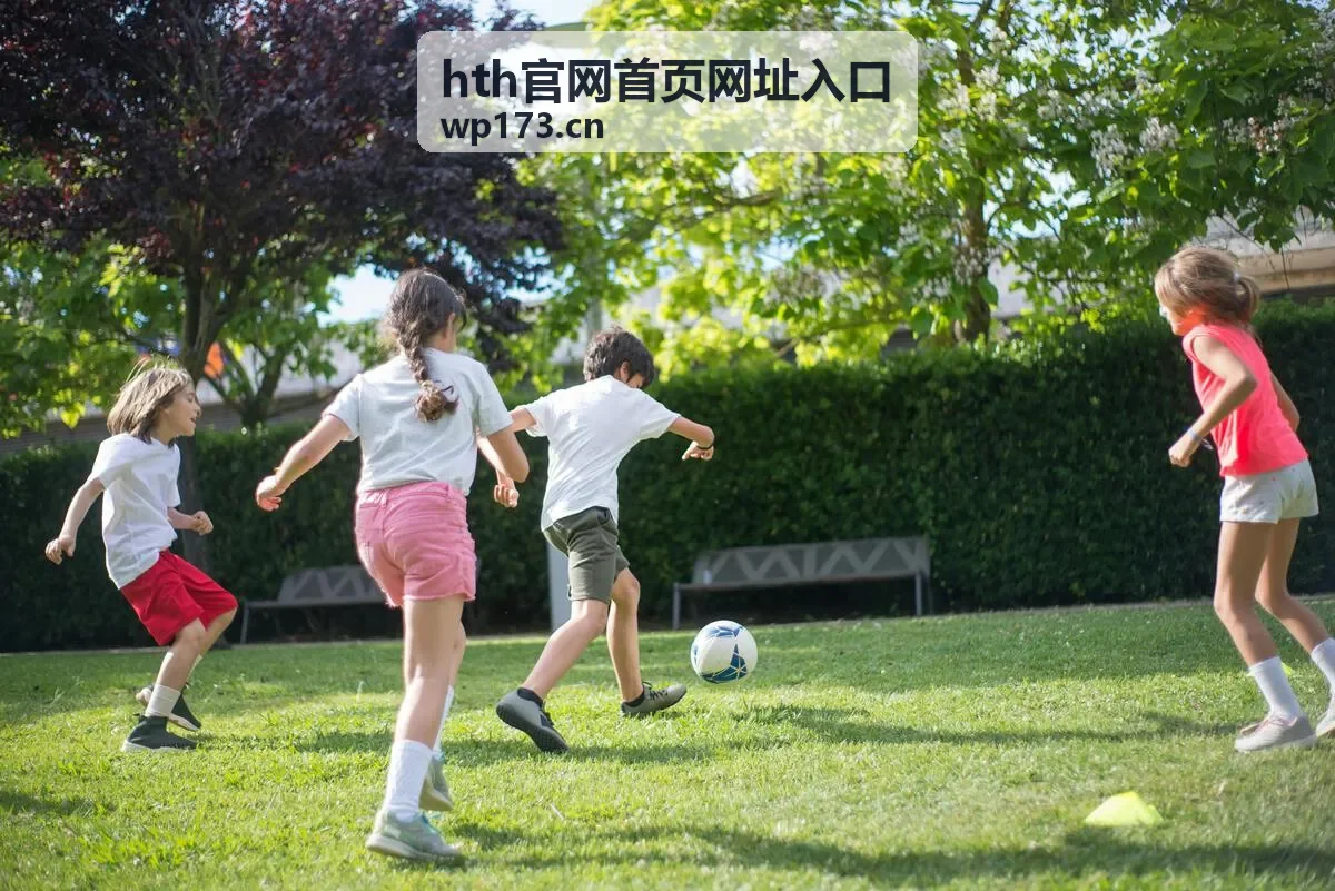 hth官网首页网址入口 旧版本升级场景